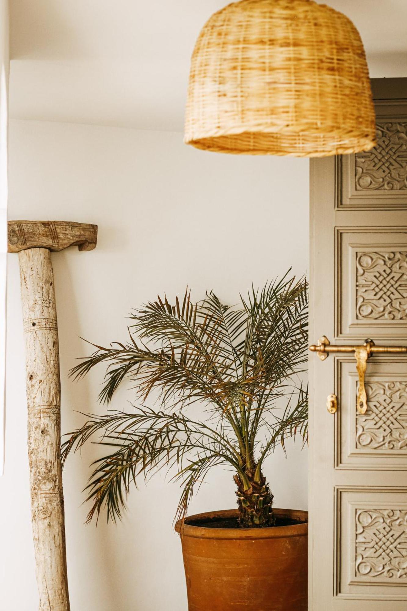 Riad Shabi Kasbah Marrakesh Extérieur photo